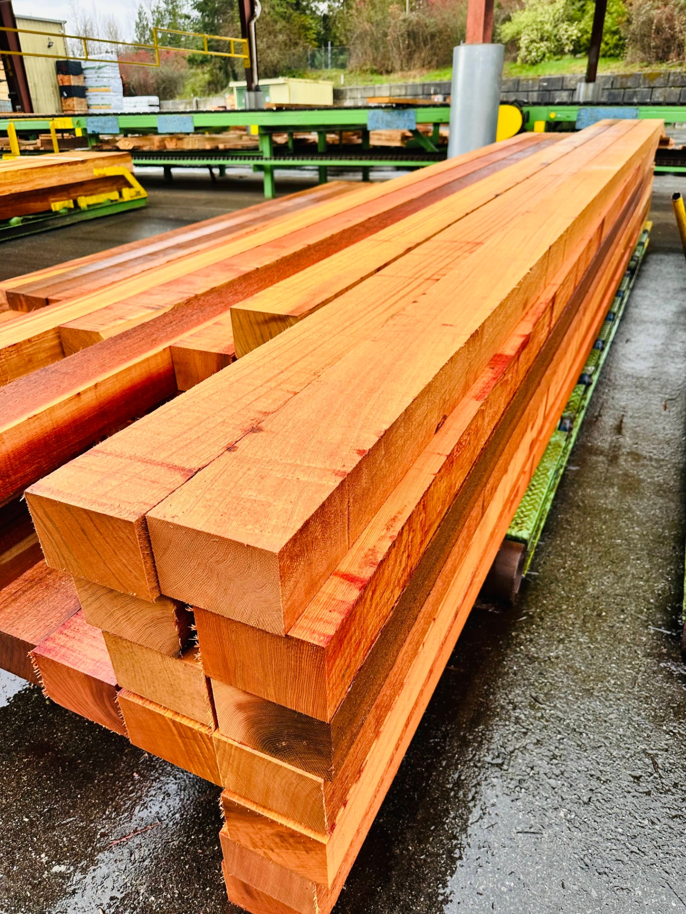 High Grade Western Red Cedar