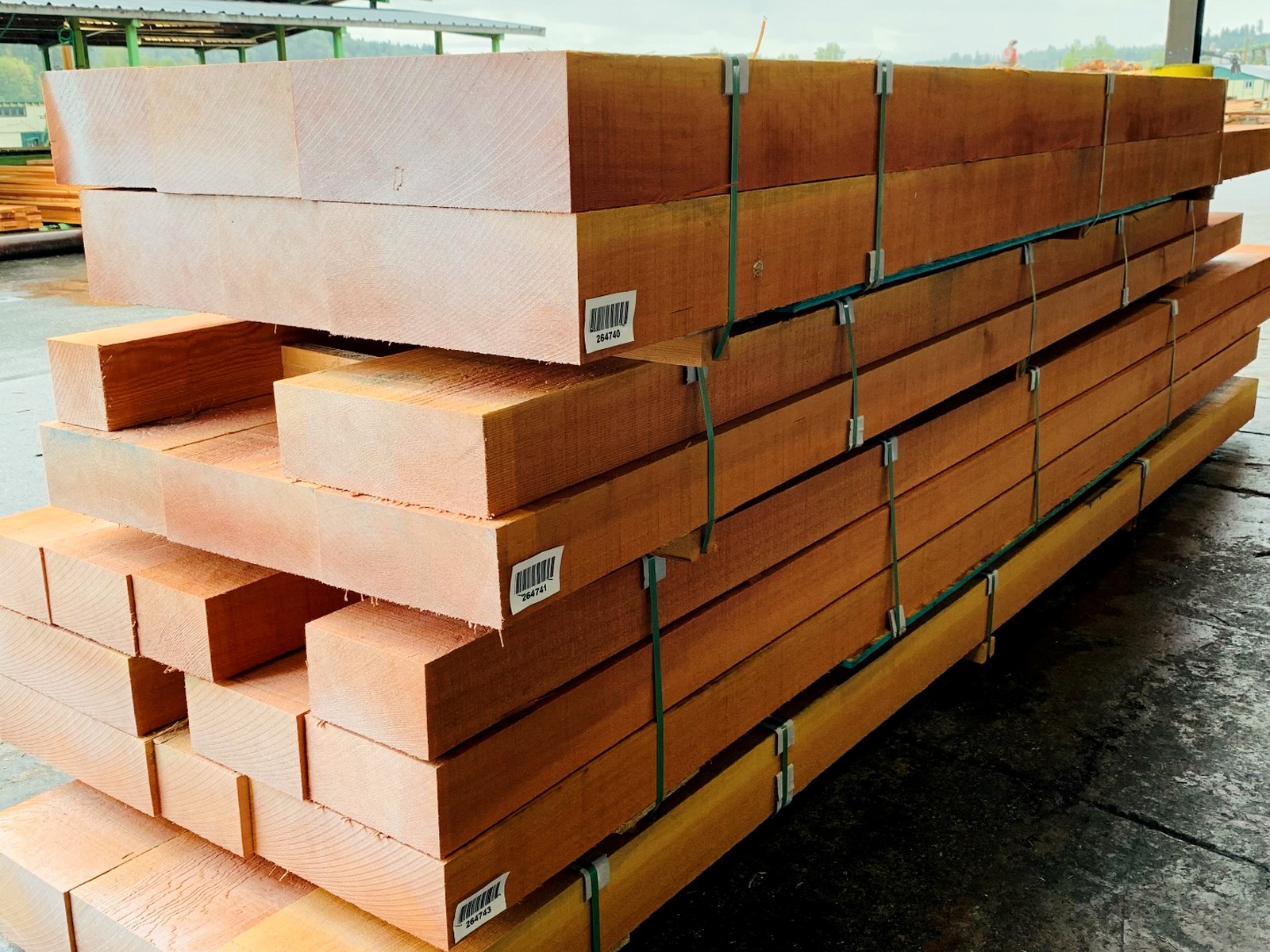 High Grade Western Red Cedar