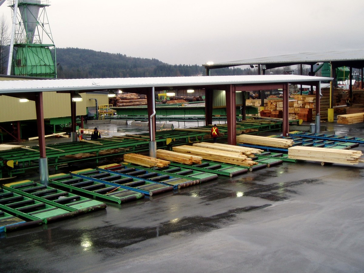 Green chain sorting line at the Andersen Pacific mill